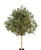 Hochwertiger Olivenbaum künstlich auf transparentem Hintergrund mit echt wirkenden Kunstblättern in natürlicher Anordnung. Künstlicher Olivenbaum - Ivy hat die Farbe Natur und ist 210 cm hoch. | aplanta Kunstpflanzen