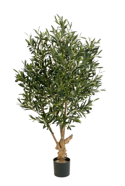 Künstlicher Olivenbaum - Ian, 120 cm, Kunstbaum von aplanta, mit Echtholzstamm, in Natur, für drinnen