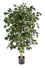 Künstlicher Chinesischer Ficus - Ioannis, 210 cm, Kunstbaum von aplanta, in Natur, für drinnen