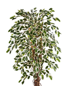 Künstlicher Ficus – Ravian | 180 cm