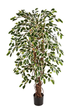 Künstlicher Ficus - Ravian, 180 cm, Kunstbaum von aplanta, mit Echtholzstamm, inkl. Startertopf, in Natur, für drinnen