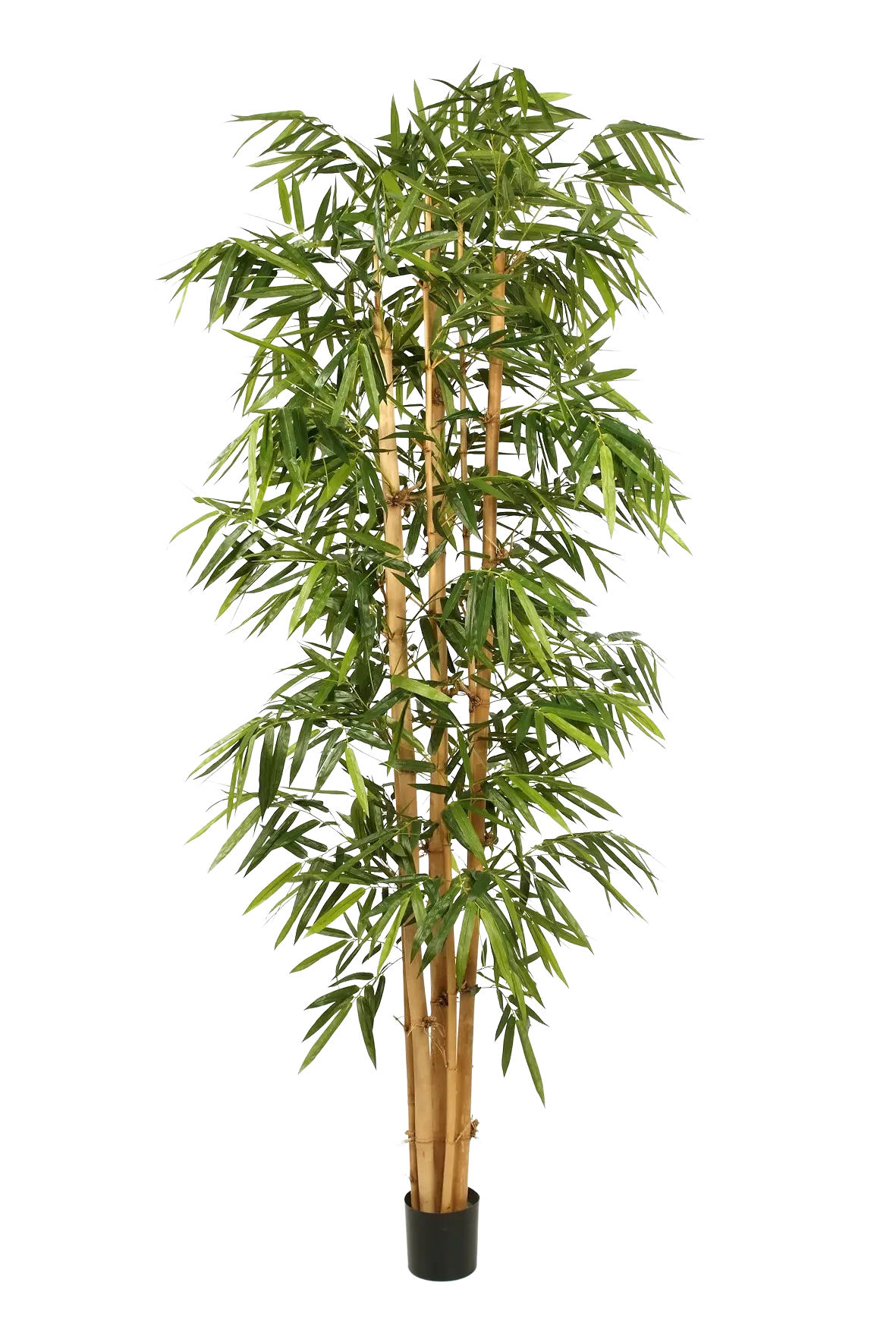Künstlicher Bambus - Kenai, 150 cm, Kunstbaum von aplanta, mit Echtholzstamm, UV-beständig, inkl. Startertopf, in Grün