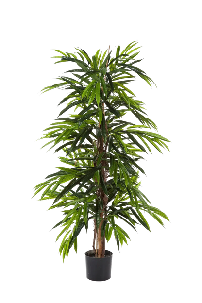 Künstliche Longifolia - Maurice, 210 cm, Kunstbaum von aplanta, feuerhemmend, in Natur, für drinnen