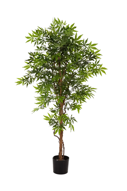 Künstlicher Japanischer Ahorn - Ottilie, 150 cm, Kunstbaum von aplanta, in Natur, für drinnen