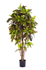 Künstlicher Croton - Ornella | 180 cm auf transparentem Hintergrund mit echt wirkenden Kunstblättern in natürlicher Anordnung. | aplanta Kunstpflanzen