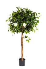 Künstlicher Kamelienbaum - Pina, 130 cm, Kunstbaum von aplanta, für drinnen