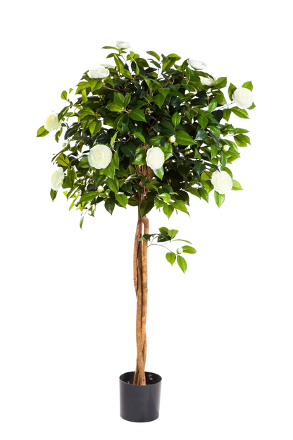 Künstlicher Kamelienbaum - Pina, 130 cm, Kunstbaum von aplanta, für drinnen