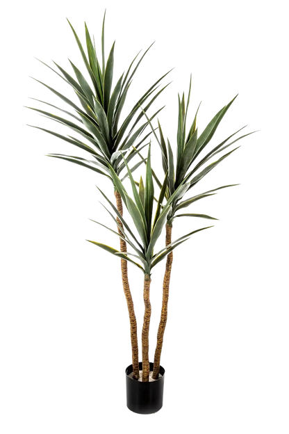 Künstliche Yucca – Talandra | 150 cm