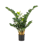 Künstliche Zamioculcas - Svea, 66 cm, Kunstpflanze von aplanta, im schwarzen Topf, in Natur, für drinnen