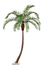 Künstliche Phoenixpalme - Simon, 390 cm, Kunstbaum von aplanta, in Natur, für drinnen