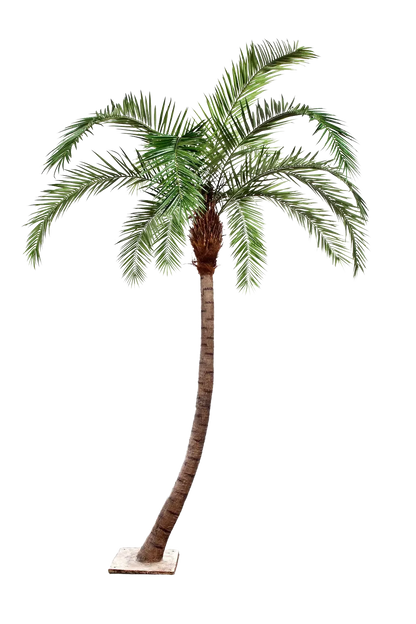 Künstliche Phoenixpalme - Simon, 360 cm, Kunstbaum von aplanta, in Natur, für drinnen