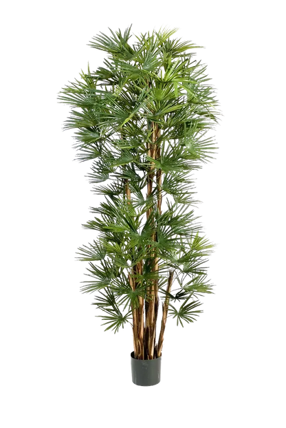 Künstliche Palme - Sören, 210 cm, Kunstbaum von aplanta, in Natur, für drinnen