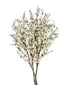 Künstlicher Kirschbaum - Willi auf transparentem Hintergrund mit echt wirkenden Kunstblättern. Diese Kunstpflanze gehört zur Gattung/Familie der 