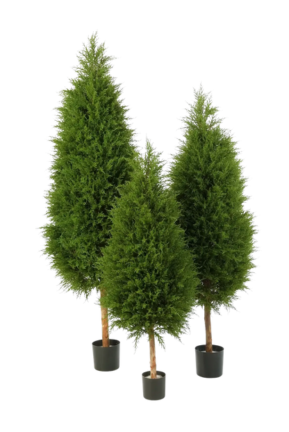 Künstliche Zypresse - Pepe auf transparentem Hintergrund mit echt wirkenden Kunstblättern in natürlicher Anordnung. Künstliche Zypresse - Pepe hat die Farbe Natur und ist 120 cm hoch. | aplanta Kunstpflanzen