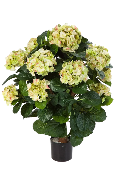 Künstliche Hortensie - Noah, 62 cm, Kunstpflanze von aplanta, für drinnen