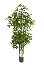 Künstliche Steckenpalme - Nela, 170 cm, Kunstbaum von aplanta, in Natur, für drinnen