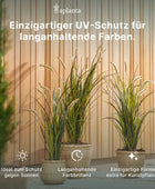 Palmeira Areca Artificial - Amelie | 180 cm