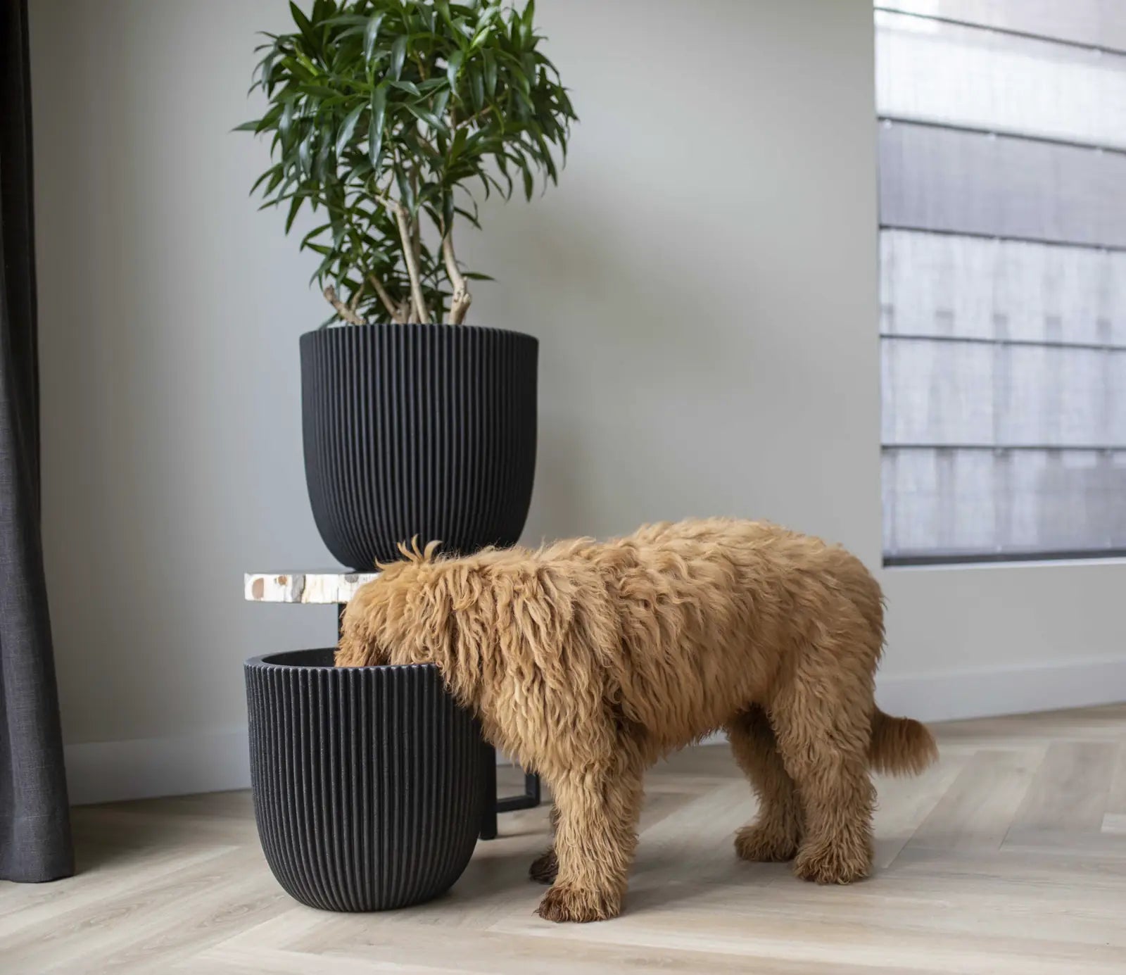 Blumentopf Kugel Groove schwarz | 43x41 cm