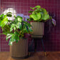 Blumentopf zylinder Groove gold, 36x38cm, Pflanzkübel von aplanta, in Schwarz-Gold, für drinnen & draußen