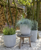 Pflanztopf elegant niedrig Groove elfenbein | 34x46 cm