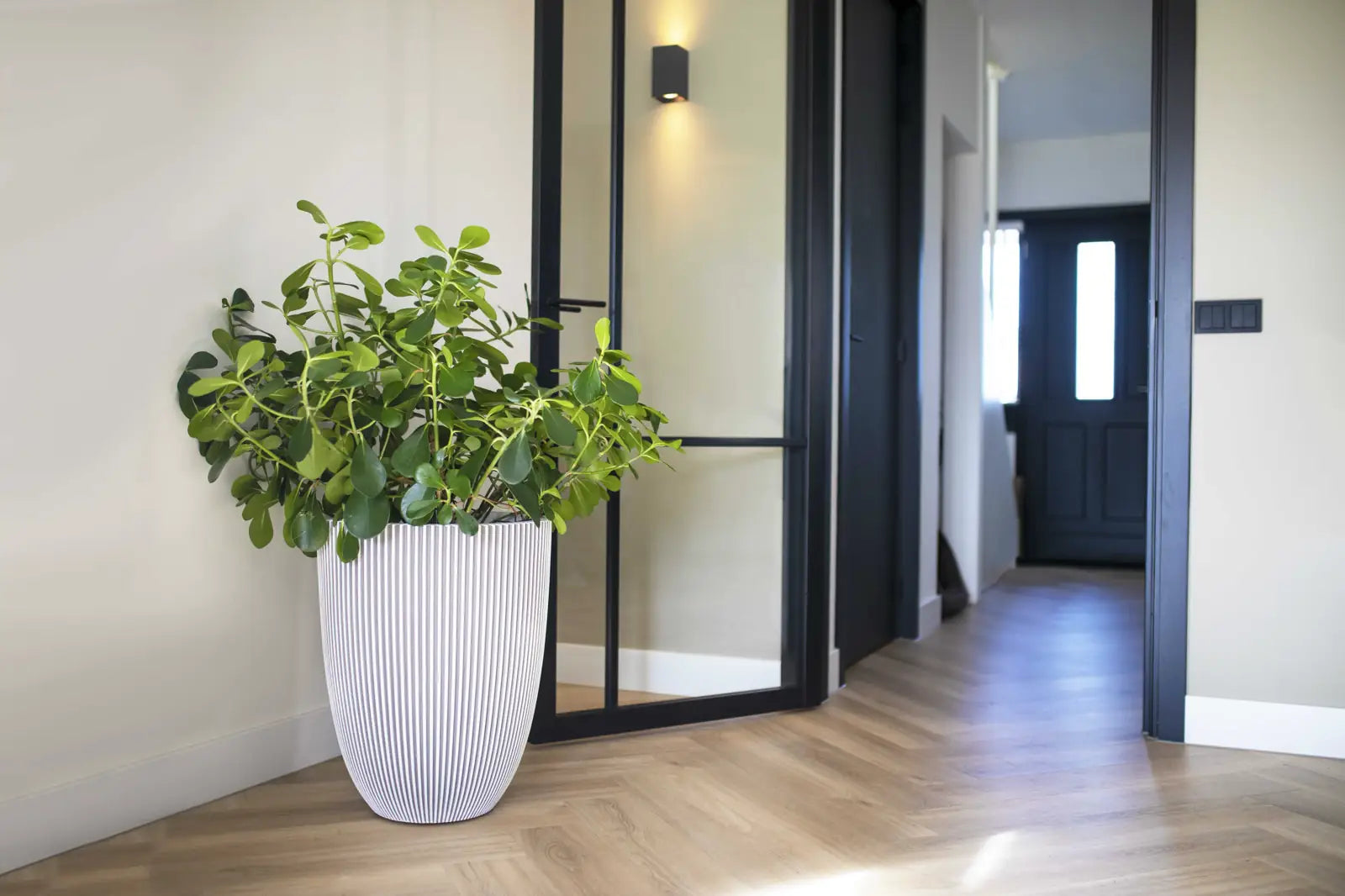 Pflanztopf elegant niedrig Groove elfenbein | 34x46 cm