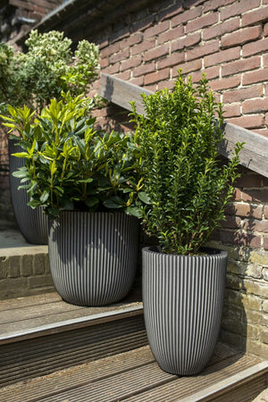 Übertopf Kugel Groove anthrazit | 54x52 cm
