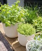 Blumentopf Kugel Groove 25x23 Beige