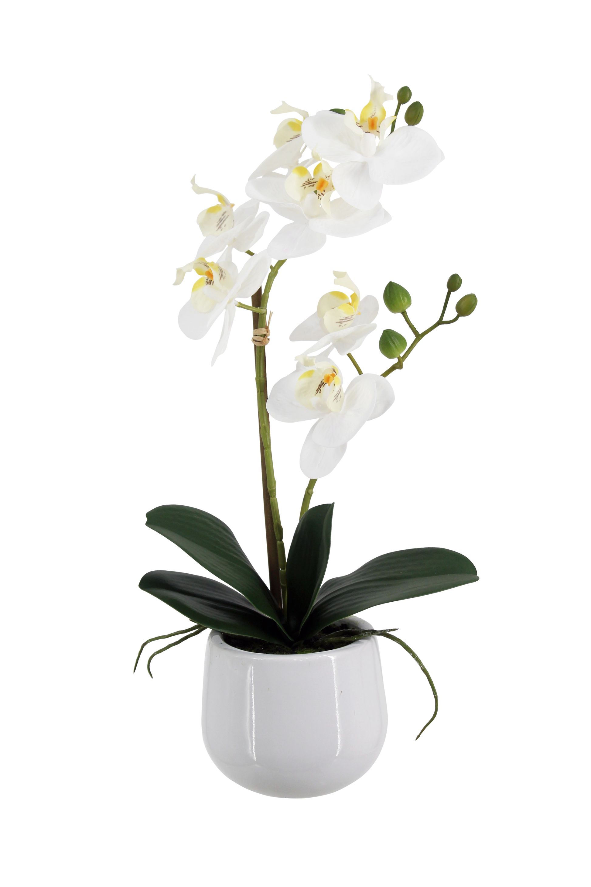 Künstliche Orchidee - Mian | 45 cm