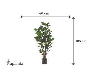 Künstliche Fiederaralie - Milan | 105 cm