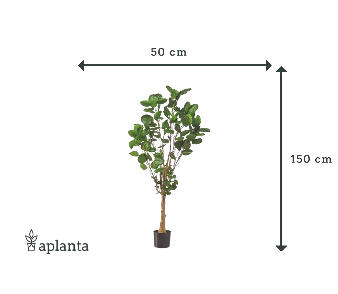 Künstliche Fiederaralie - Milan | 150 cm