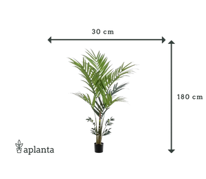 Künstliche Kentia Palme - Nathalie | 180 cm