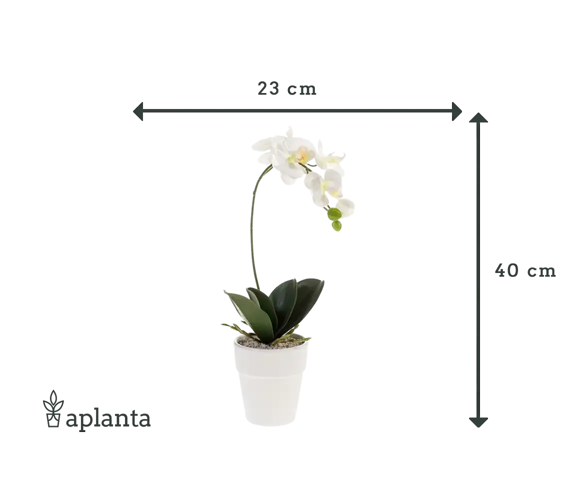 Künstliche Orchidee - Linus | 40 cm