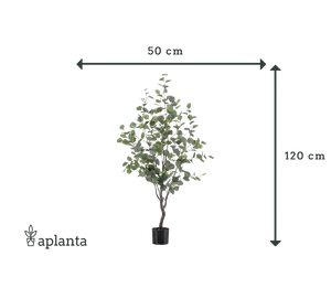 Künstlicher Eucalyptus Baum - Christopher | 120 cm