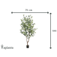 Künstlicher Eucalyptus Baum - Christopher, 180 cm, Kunstbaum von aplanta, in Natur, für drinnen