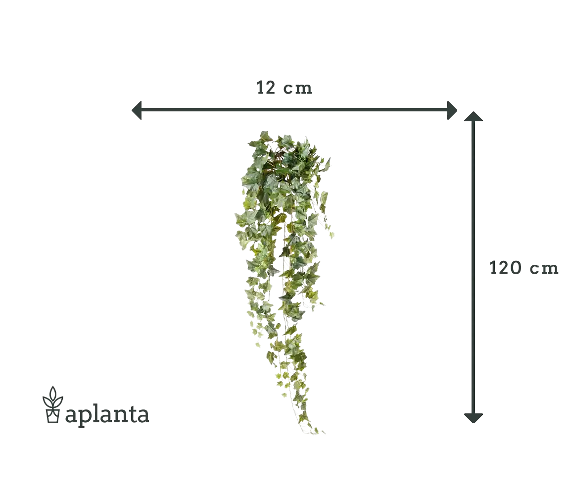 Künstlicher Hänge-Efeu - Lennart | 120 cm