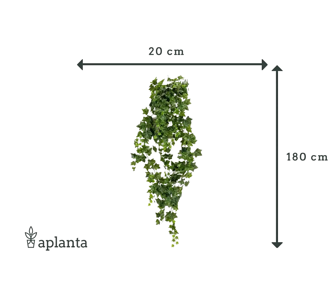 Künstlicher Hänge-Efeu - Lennart | 180 cm