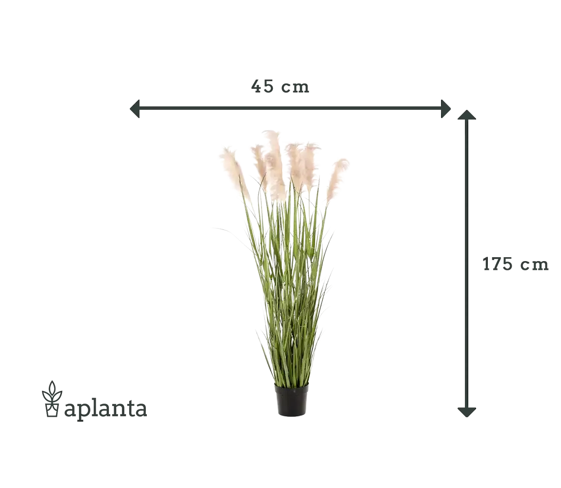 Künstliches Pampasgras - Luis | 175 cm