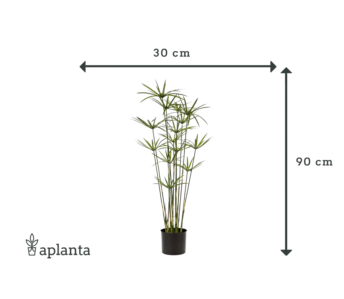 Künstliches Zypergras - Lilli | 90 cm