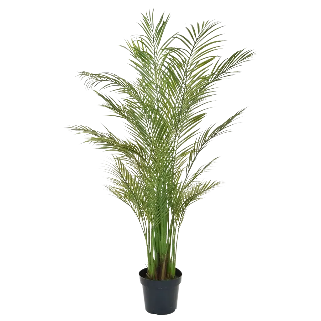 Palmeira Areca Artificial - Amelie | 180 cm