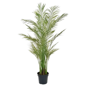 Palmeira Areca Artificial - Amelie | 180 cm