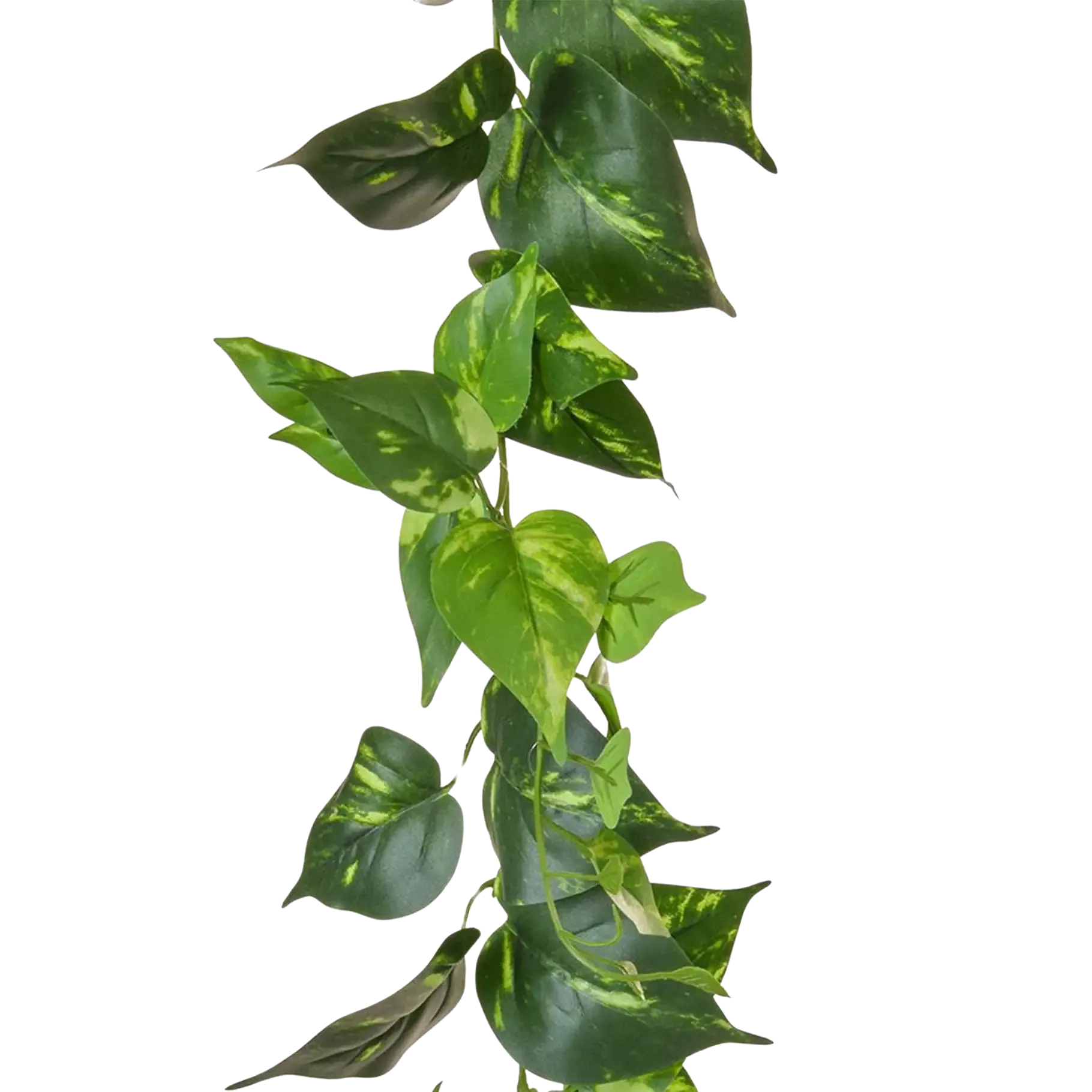 Künstliche Pothos Girlande - Christian | 220 cm