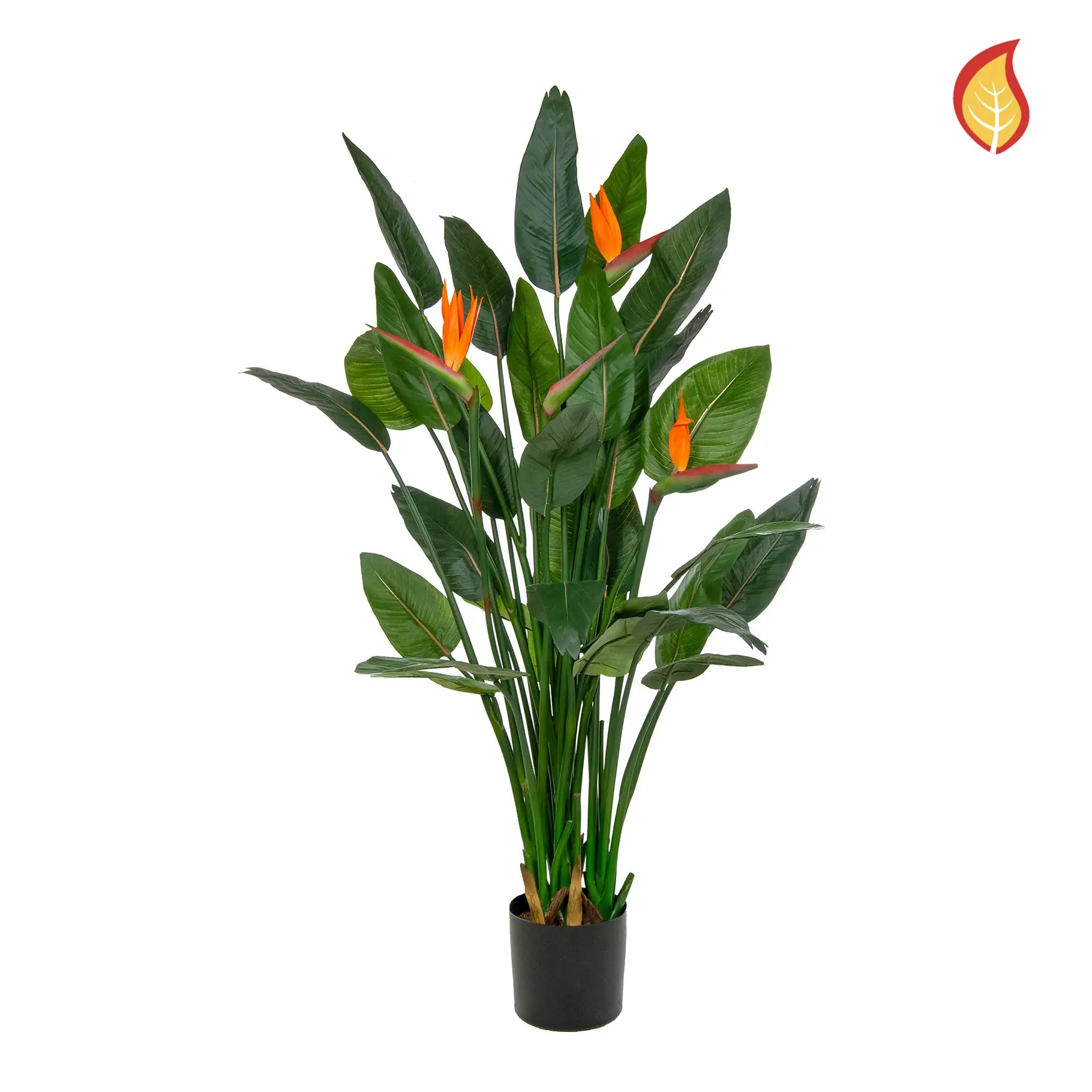 Künstliche Strelitzia - Georg, 150 cm, Kunstpflanze von aplanta, feuerhemmend, B1-zertifiziert, in Grün, für drinnen