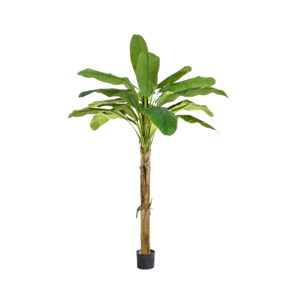Künstlicher Bananenbaum - Jonas | 180 cm