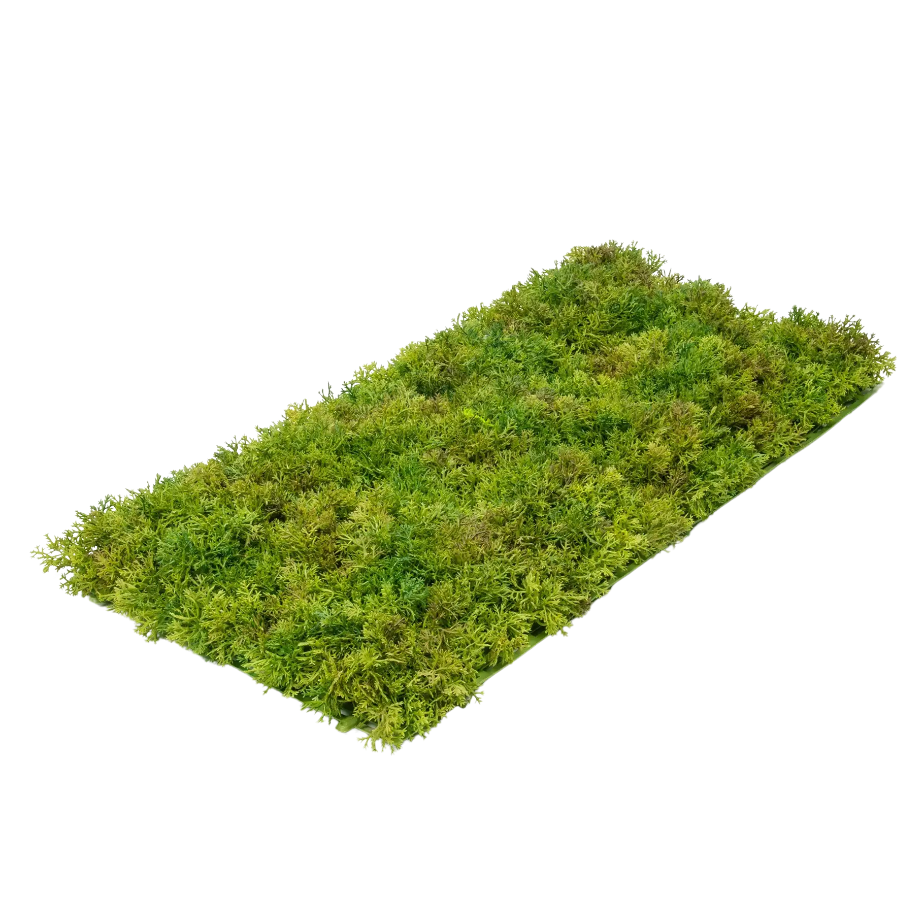 Tapete de musgo artificial - Aloisia | 25 cm