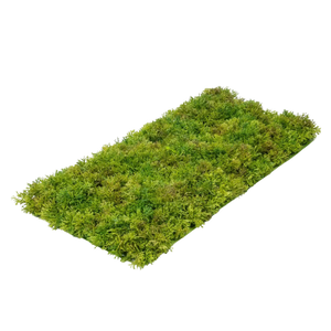 Künstliche Moosmatte - Aloisia | 25x75 cm