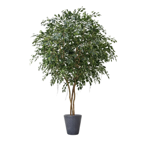 Künstlicher Ficus - Gajus | 400 cm