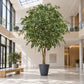 Künstlicher Ficusbaum - Satos | 500 cm