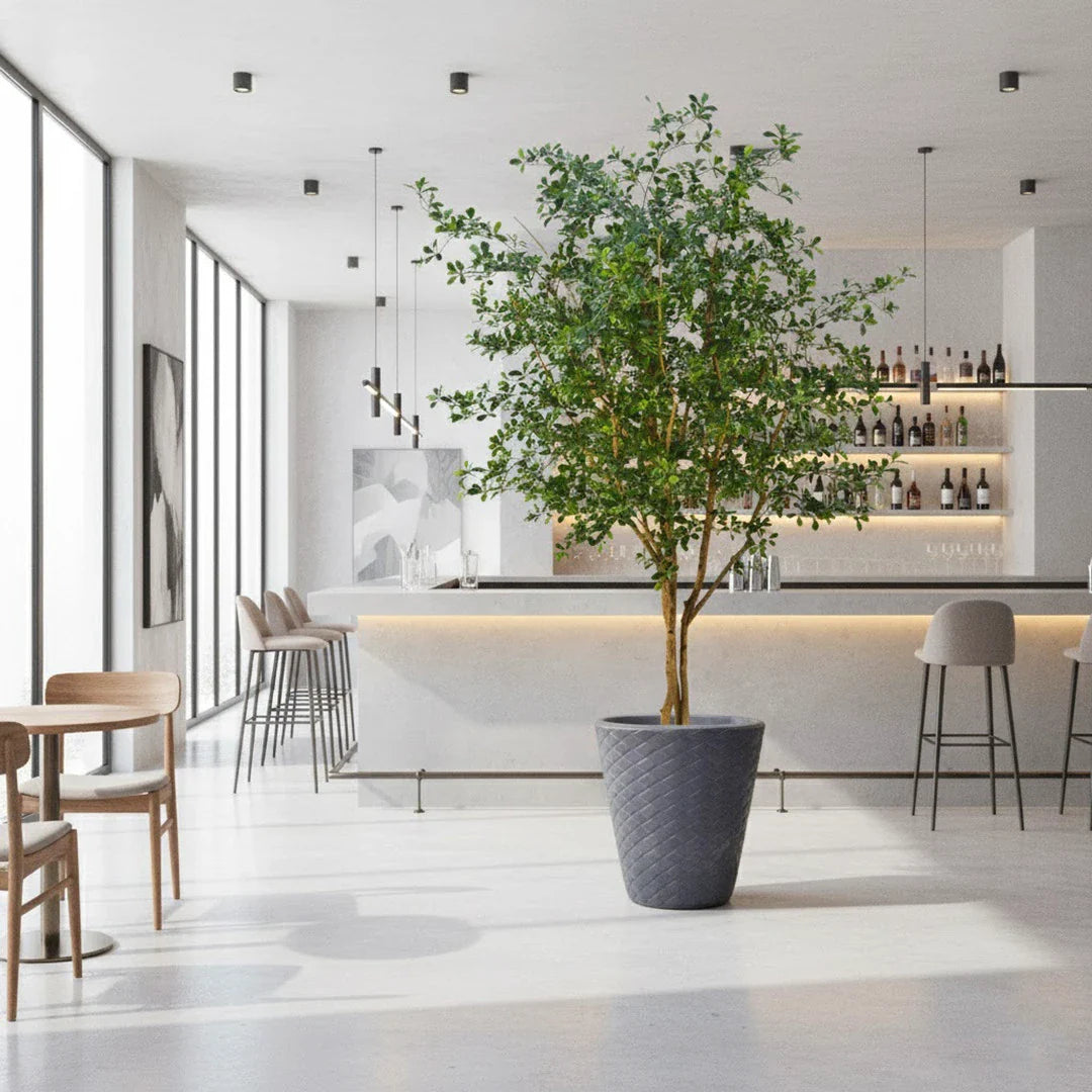 Künstlicher Olivenbaum - David | 300 cm