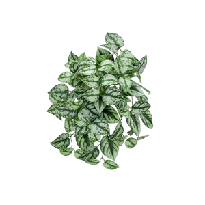 Künstliche Hänge-Scindapsus - Tammi | 40 cm