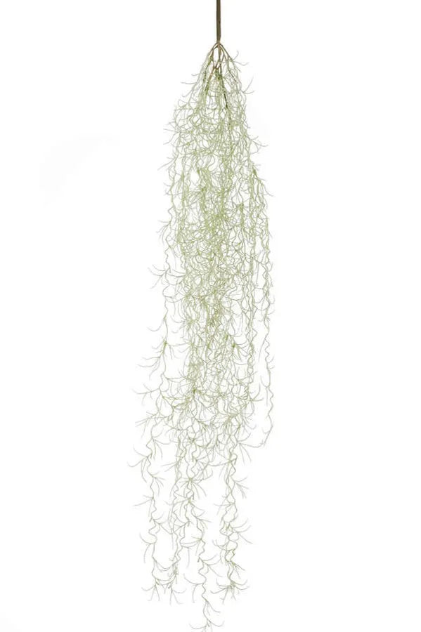 Tillandsia hair bush 85cm grey auf transparentem Hintergrund mit echt wirkenden Kunstblättern in natürlicher Anordnung. Tillandsia hair bush 85cm grey hat die Farbe Natur und ist 85 cm hoch. | aplanta Kunstpflanzen